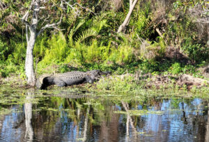 Outdoors in South Florida